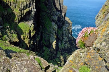 Skellig Michael veya Great Skellig, bir Hıristiyan manastırının yıkık kalıntılarına ev sahipliği yapıyor. Gannets ve puffins de dahil olmak üzere deniz kuşları, çeşitli yaşadığı. Unesco Dünya Mirası Alanı, İrlanda