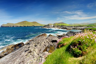 Beautiful view of Valentia Island Lighthouse at Cromwell Point. Locations worth visiting on the Wild Atlantic Way. Scenic Irish countyside on sunny summer day, County Kerry, Ireland clipart