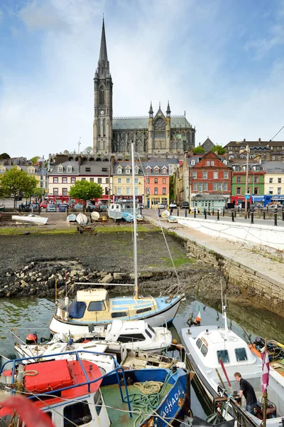 COBH, IRELAND - Mayıs 2018: Cobh kasabası, Cork County, İrlanda 'da demirlemiş renkli balıkçı tekneleri