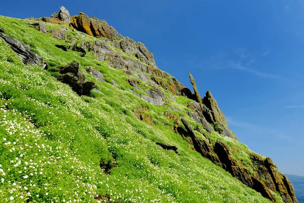 Skellig Michael Eller Great Skellig Hem Till Förstörda Resterna Ett — Stockfoto