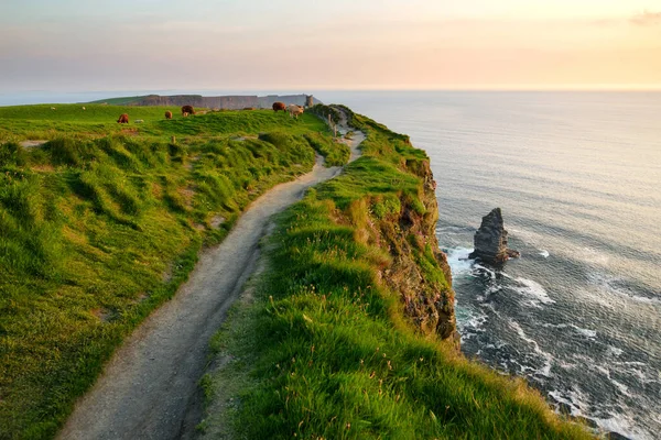 Famose Scogliere Moher Una Delle Destinazioni Turistiche Più Popolari Irlanda — Foto Stock
