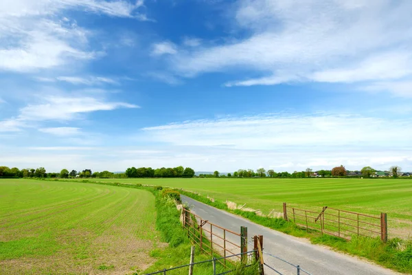 Schilderachtig Uitzicht Eindeloze Weelderige Weilanden Landerijen Van Ierland Prachtige Ierse — Stockfoto