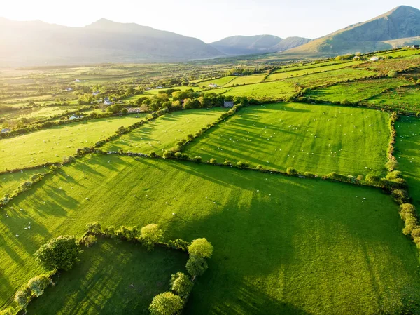 Εναέρια Θέα Ατελείωτα Καταπράσινα Λιβάδια Και Αγροκτήματα Της Ιρλανδίας Όμορφη — Φωτογραφία Αρχείου