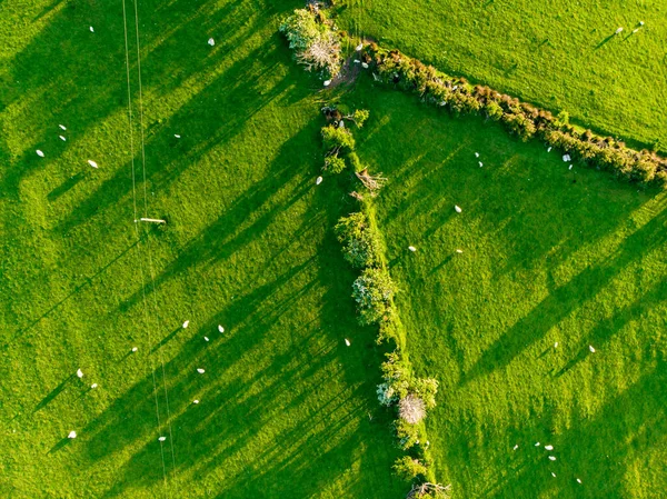 Rlanda Nın Uçsuz Bucaksız Yemyeşil Otlaklarının Tarım Arazilerinin Havadan Görünümü — Stok fotoğraf
