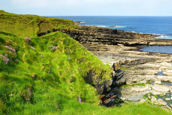 Szorstki Skalisty Brzeg Wzdłuż Słynnego Szlaku Ring Kerry Chropowaty Brzeg — Zdjęcie stockowe