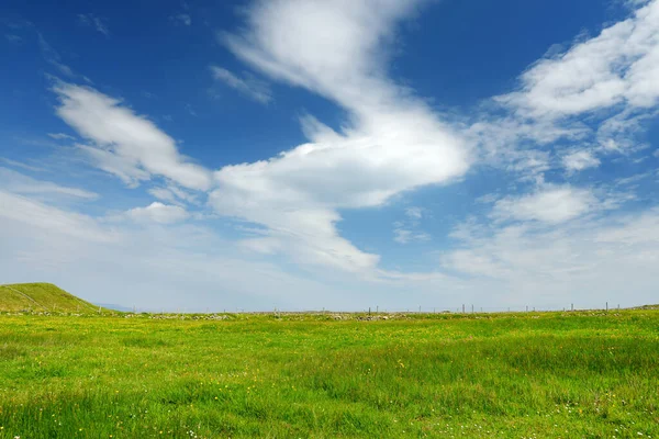 アイルランドの無限の緑豊かな牧草地や農地の景色 エメラルドグリーンの野原と牧草地のある美しいアイルランドの田園地帯 田舎の風景 — ストック写真