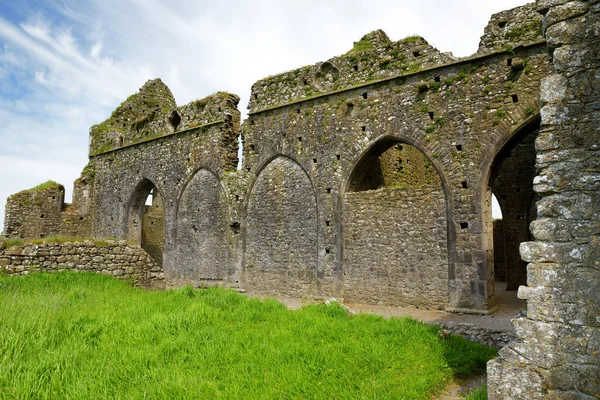 Hore Apátság Romos Cisztercita Kolostor Közelében Rock Cashel Megyei Tipperary — Stock Fotó