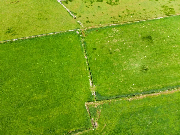 Rlanda Nın Uçsuz Bucaksız Yemyeşil Otlaklarının Tarım Arazilerinin Havadan Görünümü — Stok fotoğraf