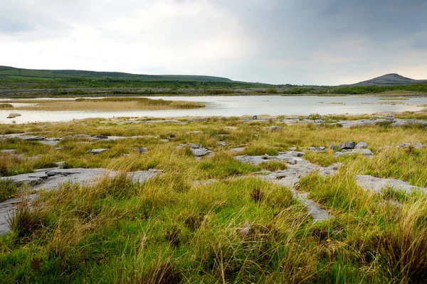 Nádherná Krajina Oblasti Burren Kraji Clare Irsko Exponované Krasové Vápencové — Stock fotografie