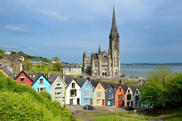 Cobh, County Cork, İrlanda liman kasabasında arka planda yükselen St Colman Katedrali ile renkli satır evler
