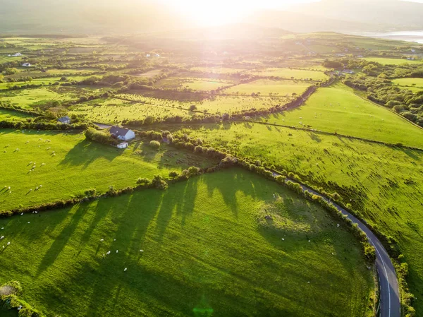 爱尔兰无边无际的郁郁葱葱的牧场和农田的鸟瞰图 美丽的爱尔兰乡村 绿宝石绿的田野和草地 日落时分的乡村景观 — 图库照片