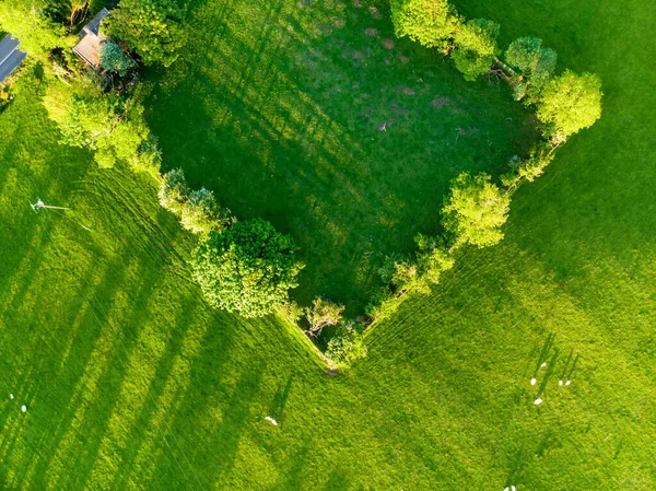 Vista Aérea Infinitas Pastagens Exuberantes Terras Agrícolas Irlanda Lindo Campo — Fotografia de Stock