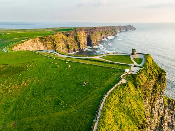 Всесвітньо Відомі Скелі Могер Один Найпопулярніших Туристичних Напрямків Ірландії Повітряна — стокове фото