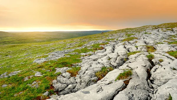 Spectacular Landscape Burren Region County Clare Ireland Exposed Karst Limestone — Foto Stock