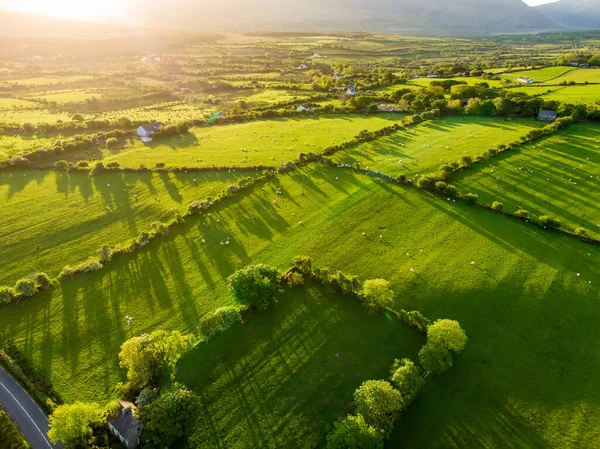 Luchtfoto Van Eindeloze Weelderige Weiden Landerijen Van Ierland Prachtige Ierse — Stockfoto