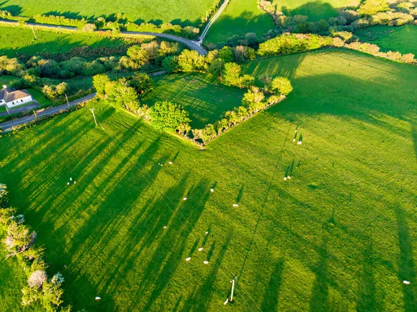 Letecký Pohled Nekonečné Svěží Pastviny Farmlandy Irska Krásná Irská Krajina — Stock fotografie