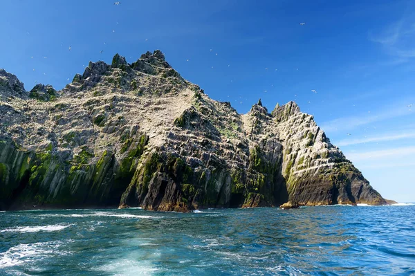 Küçük Skellig Adası, birçok çeşitli deniz kuşları ve dünyanın ikinci büyük gannets kolonisi ev, County Kerry, İrlanda. Kerry rota ünlü İrlanda Ring üzerinde turistik.