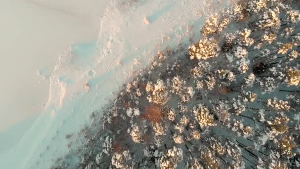 Прекрасний Вид Зверху Вниз Схилу Снігу Вкритий Сосновими Лісами Озеро — стокове відео