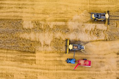 Farklı ekinlerden oluşan tarımsal parsellerin havadan görünüşü. Saman balyası tarlaları ve Litvanya 'nın tarım arazileri. Makine ya da ekipman topluyorum. Güneşli yaz akşamı.