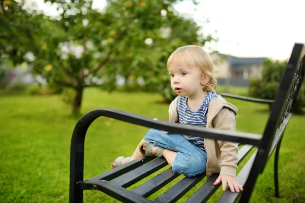 Morsom Småbarnsgutt Som Har Det Gøy Utendørs Solrik Sommerdag Barn – stockfoto