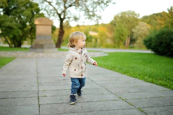 Grappige Peuter Die Buiten Plezier Heeft Zonnige Herfstdag Kind Dat — Stockfoto