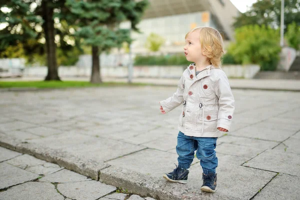 Grappige Peuter Die Buiten Plezier Heeft Zonnige Herfstdag Kind Dat — Stockfoto