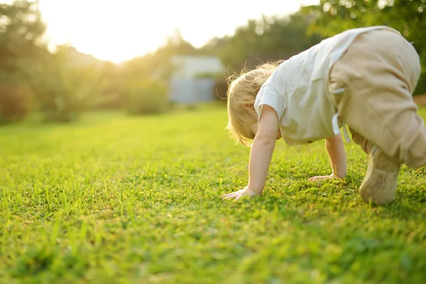 Drôle Tout Petit Garçon Avoir Amusant Extérieur Sur Ensoleillé Jour — Photo