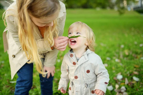 Pussig Småbarnsgutt Storesøster Som Morer Seg Ute Høstdagen Barn Som – stockfoto