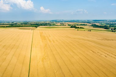 Farklı ekinlerden oluşan tarımsal parsellerin havadan görünüşü. Polonya 'nın kırsal alanlarında ve tarım arazilerinde dolambaçlı yollar. Güneşli yaz akşamı.