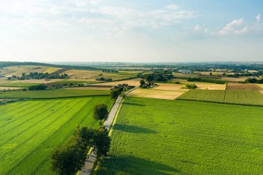 Farklı ekinlerden oluşan tarımsal parsellerin havadan görünüşü. Polonya 'nın kırsal alanlarında ve tarım arazilerinde dolambaçlı yollar. Güneşli yaz akşamı.