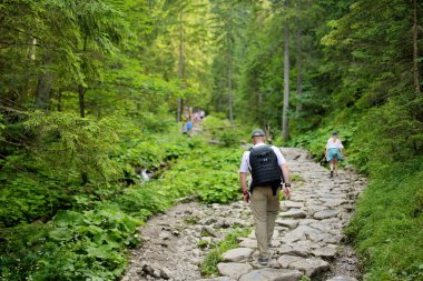 Baba ve kızı Polonya 'nın Tatra Dağları' ndaki Strazyska Vadisi 'ndeki Siklawica Şelalesi' ne gidiyorlar. Çocuklarla yürüyüş, yazın aile gezisi..