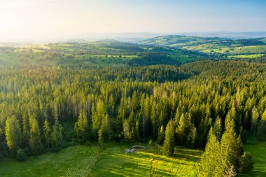 Tatra Dağları 'nın havadan görünüşü Gubalowka sıradağlarından alındı. Yazın veya ilkbaharda yüksek dağlar ve yeşil tepeler. Polonya 'da manzara dağ manzarası.