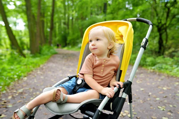 Dolce Bambino Seduto Passeggino All Aperto Bambina Carrozzina Bambino Carrozzina — Foto Stock