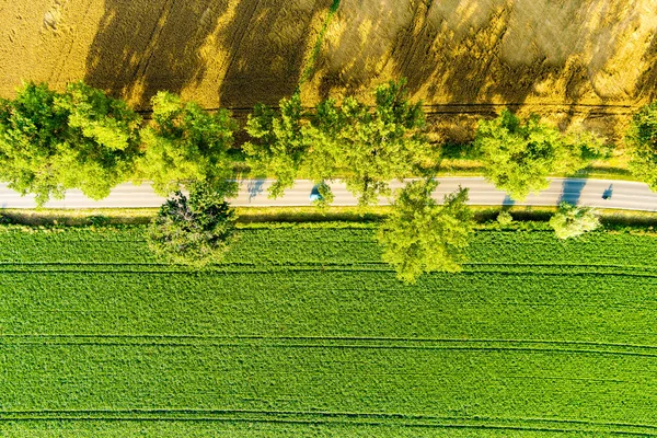 Aerial View Agricultural Parcels Different Crops Road Winding Though Countryside — Stock Photo, Image