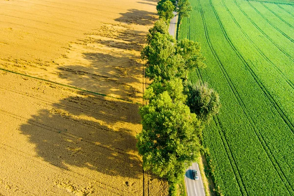 Letecký Pohled Zemědělské Pozemky Různých Plodin Silnice Vinoucí Krajinou Polí — Stock fotografie