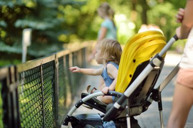 Sıcak ve güneşli bir yaz gününde bebek arabasıyla hayvanat bahçesinde hayvanları izleyen tatlı bir çocuk. Hayvanat bahçesindeki hayvanlara hayran bir çocuk. Hayvanat bahçesinde aile zamanı.