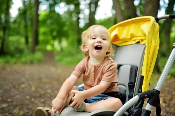 Dolce Bambino Seduto Passeggino All Aperto Bambina Carrozzina Bambino Carrozzina — Foto Stock