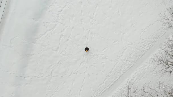 Aerial Top View Man Launching Drone Snow Covered Pine Forest — Vídeo de stock