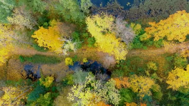 晴れた秋の朝にキライカルスト湖の素晴らしい空中ビュー Birzai高齢者 Panevezys郡 リトアニア — ストック動画