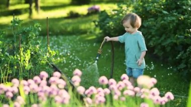 Cute toddler boy watering flower beds in the garden at summer day. Child using garden hose to water vegetables. Kid helping with everyday chores. Mommys little helper.
