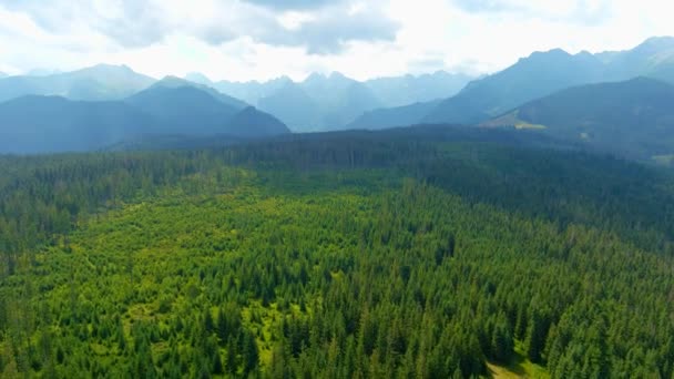 Zakopane Kasabası Yakınlarındaki Bulutlu Tatras Dağlarının Hava Manzarası Polonya Polonya — Stok video