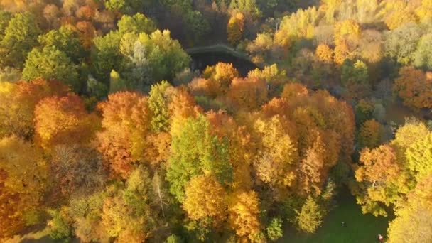 Повітряний Вид Мальовничий Міський Парк Повний Дерев Оранжевим Жовтим Осіннім — стокове відео