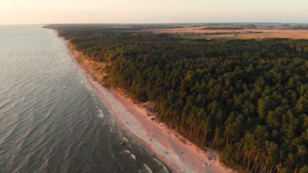 オランダ人キャップ バルト海の海岸の美しくユニークな場所 リトアニアのクライペダの町の近くに位置する海辺の氷河によって形成されたモレーン尾根の最高峰の航空写真 — ストック動画