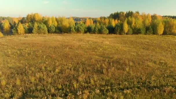 秋の夕暮れ時の耕木畑と田舎の風景の美しい空中写真 — ストック動画