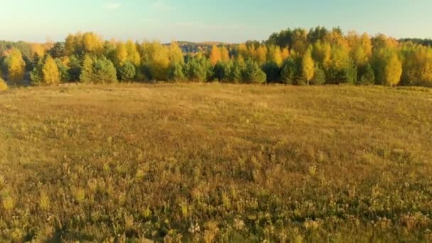 Bella Vista Aerea Del Paesaggio Rurale Con Campo Arato Durante — Video Stock