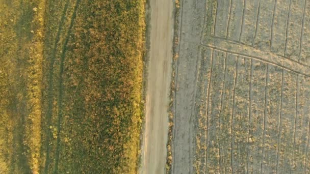 Schöne Luftaufnahme Der Ländlichen Landschaft Mit Dem Gepflügten Feld Bei — Stockvideo