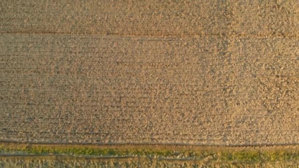 Prachtig Uitzicht Luchthaven Van Het Landelijke Landschap Met Het Geploegd — Stockvideo