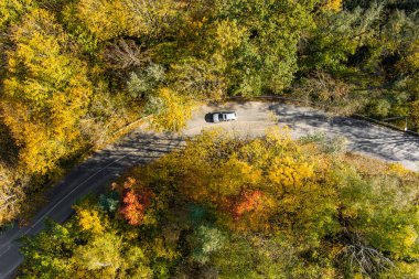 Yeşil ve sarı ağaçlı sonbahar ormanının yukarıdan görünüşü. Sonbahar ormanlarının arasında yol dolanıyor. Litvanya 'nın Vilnius şehrinde güzel bir sonbahar manzarası