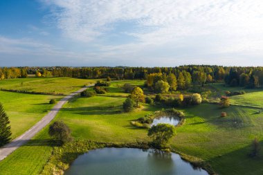 Yeşil ve sarı ağaçları ile sonbahar orman hava görünümünü. Karışık yapraklı ve iğne yapraklı orman. Güzel sonbahar sahne Vilnius city, Litvanya yakınındaki