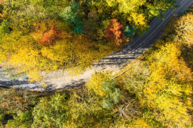 Yeşil ve sarı ağaçlı sonbahar ormanının yukarıdan görünüşü. Sonbahar ormanlarının arasında yol dolanıyor. Litvanya 'nın Vilnius şehrinde güzel bir sonbahar manzarası